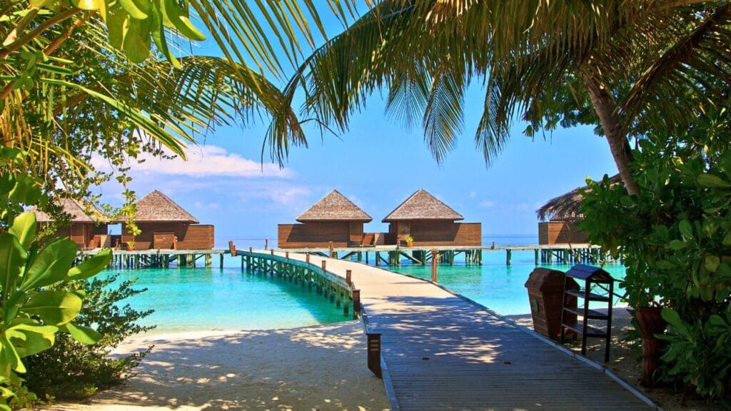 Budget Hotels (3-Star)