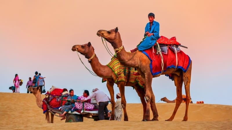 Indian tourists enjoying desert safari in Dubai with camel rides and dune bashing