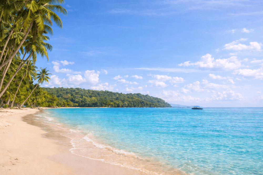Crystal clear beach view of Havelock Island with turquoise water and palm trees in the Andaman and Nicobar Islands, a popular destination included in Andaman tour packages.
